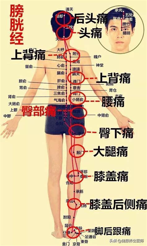 經絡刷功效|最全經絡高清動圖，所有穴位都有！再也不怕找不到穴。